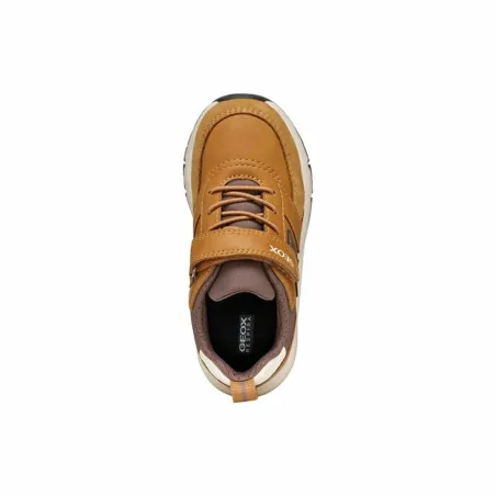 32 pritūpimai Geox Rooner B. Ruda
