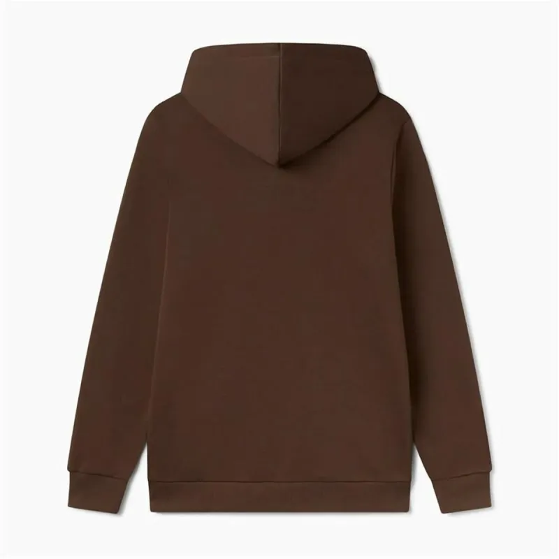 Толстовка с капюшоном мужская Puma Essentials+ Graphic Hoodie Fl Hombre