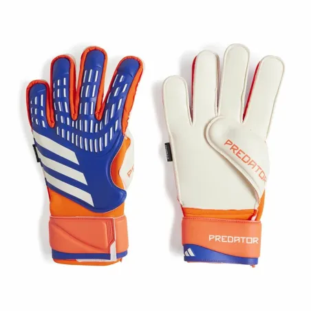 Vartininko pirštinės Adidas Predator Match Mėlyna Suaugusiems