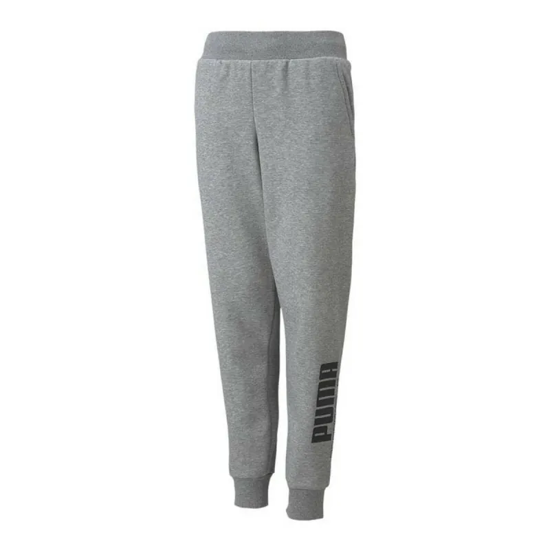 Sportinės kelnės vaikams Puma Power Logo Pilka