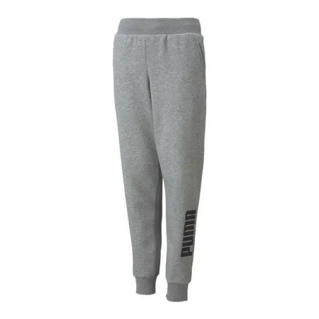 Sportinės kelnės vaikams Puma Power Logo Pilka