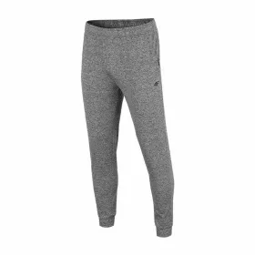 Pikad spordipüksid 4F Functional Mehed