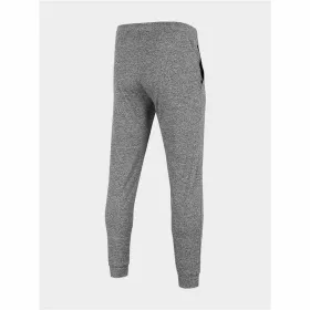 Pikad spordipüksid 4F Functional Mehed