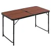 Складной стол Springos CS0108 120 x 60 см