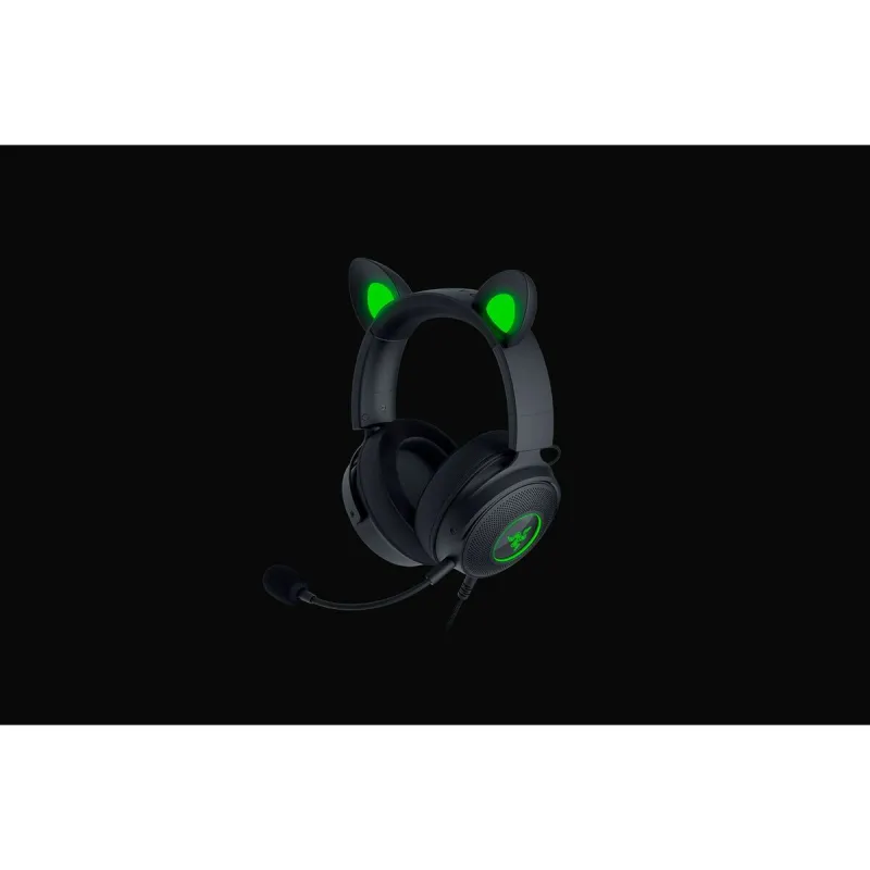 Ausinės su mikrofonu Razer RZ04-04510100-R3M1