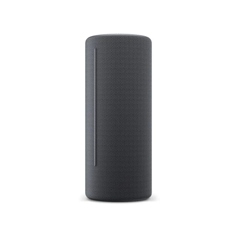 Bluetooth garso kolonėlės Loewe Pilka
