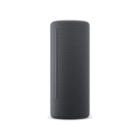 Bluetooth garso kolonėlės Loewe Pilka