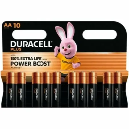Atkārtoti Uzlādējamas Baterijas DURACELL DPBLR6B10 1,5 V