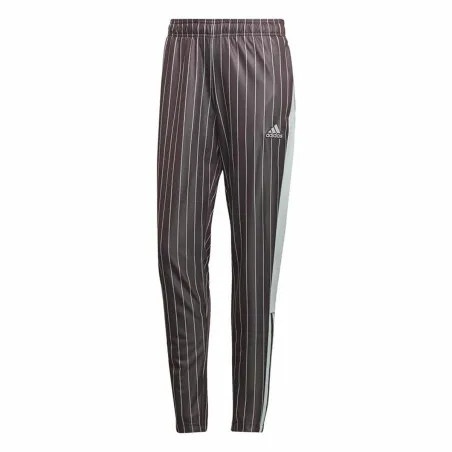 Pikad spordipüksid Adidas Daam