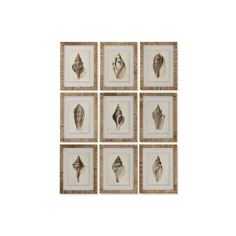 Paveikslas namams ESPRIT Viduržemio jūros sraigė 30 x 2,5 x 40 cm (9 vnt.)