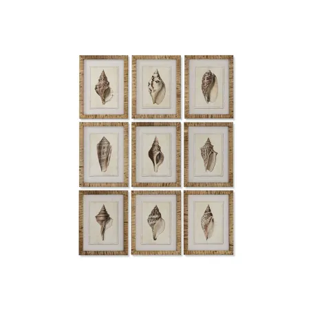 Картина Home ESPRIT Mediterranean Snail 30 x 2,5 x 40 см (9 шт.)