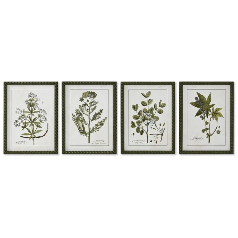 Maalimiskomplekt Kodu ESPRIT Roheline Beež Shabby Chic Botaanilised taimed 30 x 2,5 x 40 cm (4 tk)