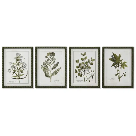 Картина для дома ESPRIT Green Beige Shabby Chic Botanical plants 30 x 2,5 x 40 см (4 единицы)