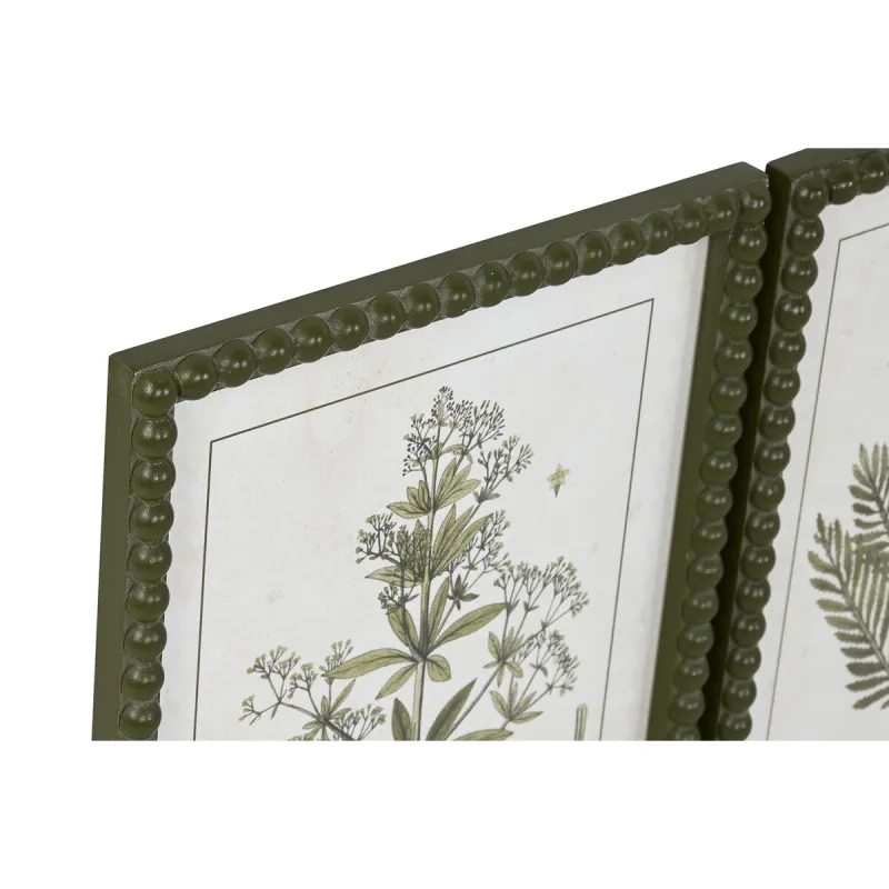 Gleznošana Mājai ESPRIT Zaļi Bēšs Šabbi Šiks Botāniskie augi 30 x 2,5 x 40 cm (4 gab.)