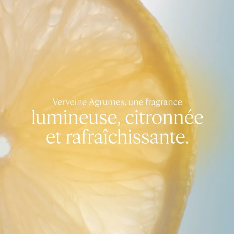 L'occitane Verbena Cítrica Crema Manos 30ml