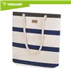 Trizand Beach/Picnic Bag