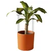 Metallist tugi lilledele ja taimedele Springos HA5169 45 cm