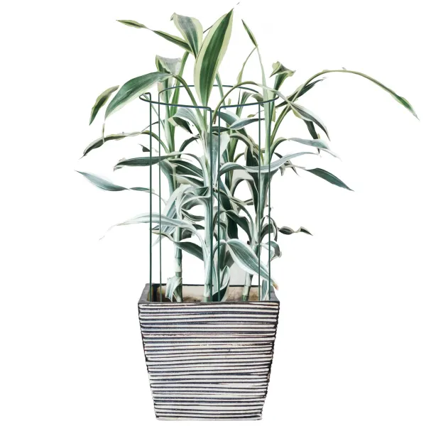 Metallituki kukille ja kasveille Springos HA5170 75 cm