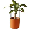 Metallituki kukille ja kasveille Springos HA5170 75 cm