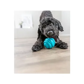 Dog toy Trixie Super Strong Blue
