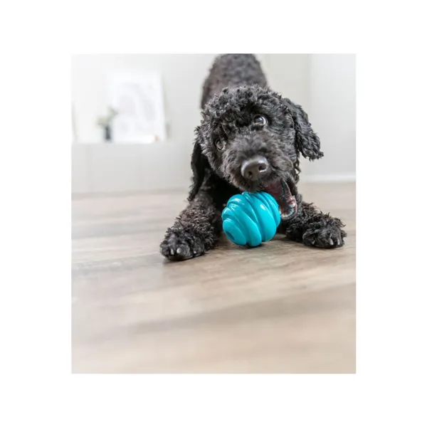Dog toy Trixie Super Strong Blue