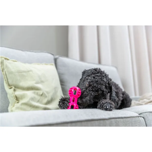 Dog toy Trixie Soft & Strong Pink