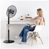 Box Ventilator Taurus Black