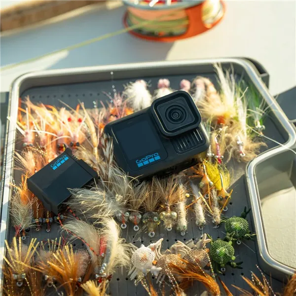 Surveillance Camcorder GoPro AEBAT-001