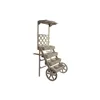Multi-purpose Cart DKD Home Decor Garden Shop Brown 96 x 64 x 180 cm