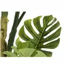 Tree DKD Home Decor Polyester polypropylene Monstera 75 x 75 x 180 cm