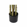 Tree DKD Home Decor Polyester polypropylene Monstera 75 x 75 x 180 cm