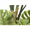 Tree DKD Home Decor Polyester polypropylene Monstera 75 x 75 x 180 cm
