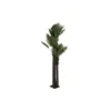 Tree DKD Home Decor Palm tree polypropylene 100 x 100 x 250 cm