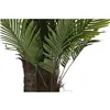 Tree DKD Home Decor Palm tree polypropylene 100 x 100 x 250 cm