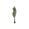 Decorative Plant DKD Home Decor Palm tree (100 x 100 x 240 cm)