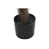 Decorative Plant DKD Home Decor Palm tree (100 x 100 x 240 cm)