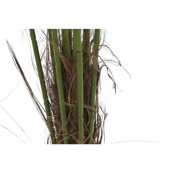 Decorative Plant DKD Home Decor Palm tree (100 x 100 x 240 cm)