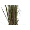 Decorative Plant DKD Home Decor Palm tree (100 x 100 x 240 cm)