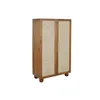 Cupboard DKD Home Decor Brown 102 x 46 x 175 cm