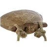 Decorative Figure Home ESPRIT Natural 20 x 7 x 13 cm (4 Units)