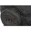 Decorative Figure Home ESPRIT Dark grey 28 x 25 x 100 cm