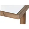 Console Home ESPRIT Brown Crystal Fir 120 x 33 x 75 cm