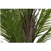 Decorative Plant Home ESPRIT Polyethylene Cement Palm tree 100 x 100 x 235 cm