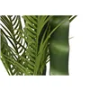 Decorative Plant Home ESPRIT Polyethylene Cement Palm tree 100 x 100 x 235 cm