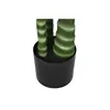 Decorative Plant Home ESPRIT Polyethylene Cement Palm tree 100 x 100 x 235 cm