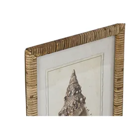 Painting Home ESPRIT Crystal Fir 30 x 2,5 x 40 cm (9Units)