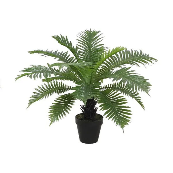 Decorative Plant Home ESPRIT PVC Fern 80 x 80 x 60 cm