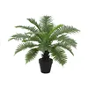 Decorative Plant Home ESPRIT PVC Fern 80 x 80 x 60 cm