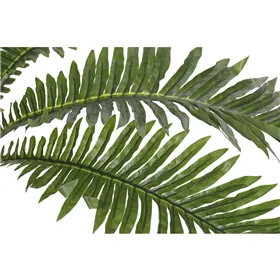 Decorative Plant Home ESPRIT PVC Fern 80 x 80 x 60 cm