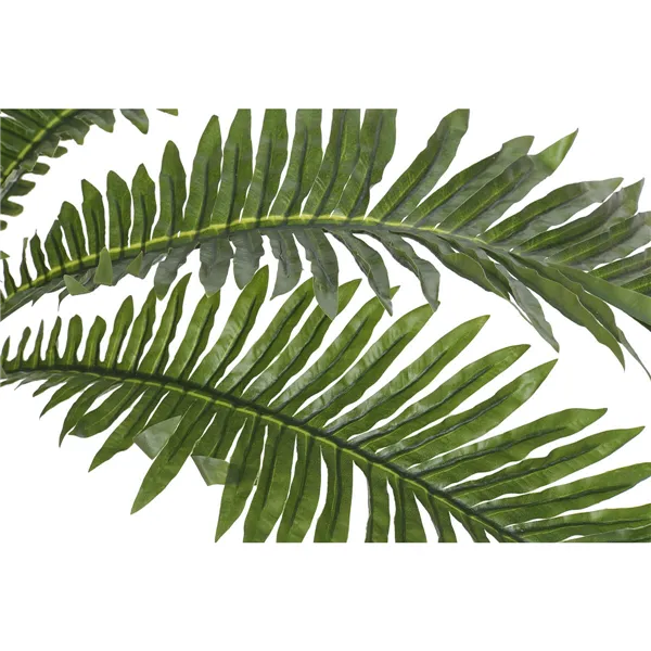 Decorative Plant Home ESPRIT PVC Fern 80 x 80 x 60 cm